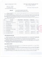 Báo cáo tài chính quý 4 năm 2015 - Công ty Cổ phần Đầu tư CMC