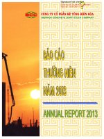 Báo cáo thường niên năm 2013 - Công ty Cổ phần Bê tông Biên Hòa