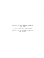 Báo cáo tài chính hợp nhất năm 2010 (đã kiểm toán) - Công ty Cổ phần Thương mại - Dịch vụ Bến Thành