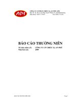 Báo cáo thường niên năm 2009 - Công ty Cổ phần Chiếu xạ An Phú