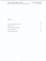 Báo cáo tài chính hợp nhất quý 1 năm 2015 - Công ty Cổ phần Chiếu xạ An Phú