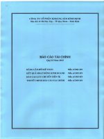 Báo cáo tài chính quý 2 năm 2013 - Công ty cổ phần Khoáng sản Bình Định