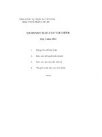 Báo cáo tài chính quý 1 năm 2012 - Công ty Cổ phần Cát Lợi