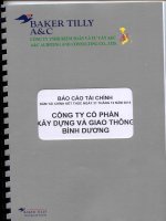 Báo cáo tài chính năm 2015 (đã kiểm toán) - Công ty Cổ phần Xây dựng và Giao thông Bình Dương
