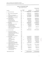 Báo cáo tài chính quý 1 năm 2013 - Công ty cổ phần Xuất nhập khẩu An Giang