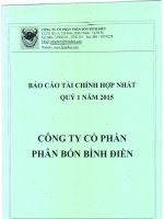 Báo cáo tài chính hợp nhất quý 1 năm 2015 - Công ty cổ phần Phân bón Bình Điền