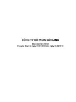 Báo cáo tài chính công ty mẹ quý 3 năm 2012 - Công ty Cổ phần Gò Đàng
