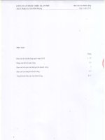 Báo cáo tài chính công ty mẹ quý 4 năm 2013 - Công ty Cổ phần Chiếu xạ An Phú