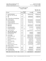 Báo cáo tài chính năm 2006 (đã kiểm toán) - Công ty cổ phần Xi măng Vicem Bút Sơn