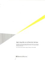 Báo cáo tài chính hợp nhất năm 2008 (đã kiểm toán) - Ngân hàng Thương mại cổ phần Đầu tư và Phát triển Việt Nam