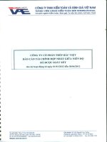 Báo cáo tài chính hợp nhất quý 2 năm 2012 (đã soát xét) - Công ty Cổ phần Đầu tư BVG