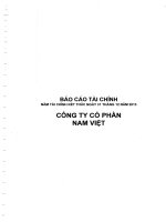 Báo cáo tài chính công ty mẹ năm 2013 (đã kiểm toán) - Công ty Cổ phần Nam Việt