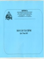 Báo cáo tài chính quý 2 năm 2015 - Công ty Cổ phần Xuất nhập khẩu Thủy sản An Giang
