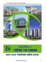 Báo cáo thường niên năm 2015 - Công ty Cổ phần Xây dựng và Giao thông Bình Dương