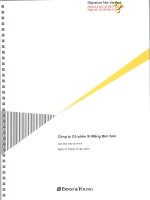 Báo cáo tài chính năm 2012 (đã kiểm toán) - Công ty Cổ phần Xi măng Bỉm Sơn