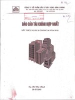 Báo cáo tài chính hợp nhất quý 2 năm 2010 - Công ty Cổ phần Đầu tư Xây dựng Bình Chánh