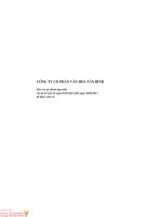 Báo cáo tài chính hợp nhất quý 2 năm 2013 (đã soát xét) - Công ty Cổ phần Văn hóa Tân Bình