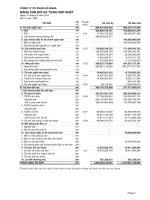 Báo cáo tài chính hợp nhất quý 1 năm 2013 - Công ty Cổ phần Gò Đàng