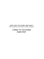 Báo cáo tài chính hợp nhất năm 2015 (đã kiểm toán) - Công ty Cổ phần Nam Việt
