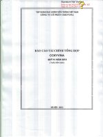 Báo cáo tài chính quý 4 năm 2013 - Công ty Cổ phần COKYVINA