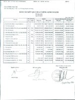 Báo cáo KQKD hợp nhất quý 4 năm 2010 - Công ty Cổ phần Nam Việt