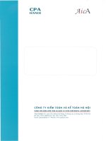 Báo cáo tài chính hợp nhất năm 2012 (đã kiểm toán) - Công ty Cổ phần Chương Dương