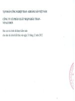 Báo cáo tài chính năm 2012 (đã kiểm toán) - CTCP Xuất nhập khẩu Than - Vinacomin
