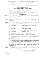 Nghị quyết Hội đồng Quản trị ngày 24-3-2010 - Công ty Cổ phần Đầu tư CMC