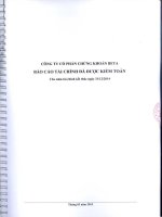 Báo cáo tài chính năm 2014 (đã kiểm toán) - Công ty Cổ phần Chứng khoán BETA