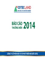 Báo cáo thường niên năm 2014 - Công ty Cổ phần Đầu tư và Phát triển Nhà đất COTEC