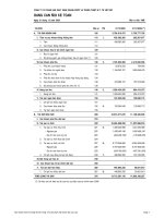 Báo cáo tài chính năm 2005 - CTCP Sản xuất Kinh doanh Dược và Trang thiết bị Y tế Việt Mỹ