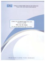 Báo cáo tài chính năm 2010 (đã kiểm toán) - Công ty Cổ phần Khoáng sản Vinas A Lưới