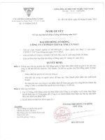 Nghị quyết Đại hội cổ đông bất thường - Công ty Cổ phần Chế biến và Xuất nhập khẩu Thuỷ sản Cà Mau