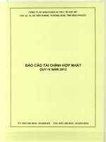 Báo cáo tài chính hợp nhất quý 4 năm 2012 - CTCP Sản xuất Kinh doanh Dược và Trang thiết bị Y tế Việt Mỹ