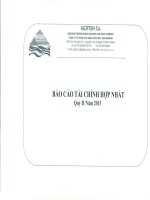 Báo cáo tài chính hợp nhất quý 2 năm 2013 - Công ty Cổ phần Xuất nhập khẩu Thủy sản An Giang