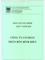 Báo cáo tài chính công ty mẹ quý 1 năm 2015 - Công ty cổ phần Phân bón Bình Điền