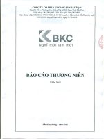 Báo cáo thường niên năm 2014 - Công ty Cổ phần Khoáng sản Bắc Kạn