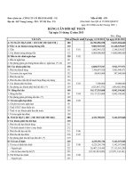 Báo cáo tài chính năm 2013 (đã kiểm toán) - Công ty Cổ phần Bao bì Tiền Giang