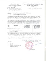 Báo cáo tài chính quý 4 năm 2015 - Công ty Cổ phần Tập đoàn Công nghệ CMC