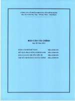 Báo cáo tài chính quý 3 năm 2013 - Công ty cổ phần Khoáng sản Bình Định