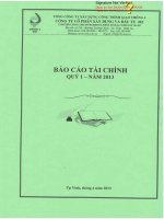 Báo cáo tài chính quý 1 năm 2013 - Công ty Cổ phần Xây dựng và Đầu tư 492