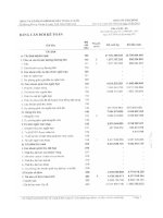 Báo cáo tài chính quý 1 năm 2013 - Công ty Cổ phần Khoáng sản Vinas A Lưới