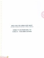Báo cáo tài chính hợp nhất năm 2015 (đã kiểm toán) - Công ty Cổ phần Đầu tư Châu Á - Thái Bình Dương