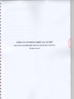 Báo cáo tài chính hợp nhất quý 2 năm 2011 (đã soát xét) - Công ty Cổ phần Chiếu xạ An Phú