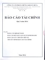 Báo cáo tài chính quý 1 năm 2014 - Công ty Cổ phần Chứng khoán BETA
