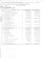 Báo cáo tài chính quý 4 năm 2008 - Công ty Cổ phần Xây dựng và Phát triển Cơ sở Hạ tầng