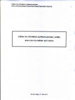 Báo cáo tài chính quý 2 năm 2014 - Công ty Cổ phần Alphanam E&C