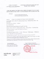 Báo cáo tình hình quản trị công ty - Công ty cổ phần Cấp thoát nước Bình Định