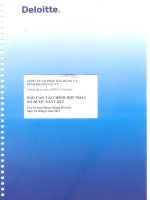 Báo cáo tài chính hợp nhất quý 2 năm 2012 (đã soát xét) - Công ty Cổ phần Xây dựng và Kinh doanh Vật tư