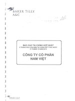 Báo cáo tài chính quý 2 năm 2010 (đã kiểm toán) - Công ty Cổ phần Nam Việt